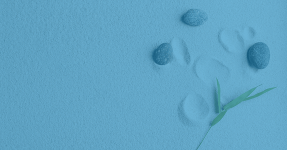 Blog Banners-7