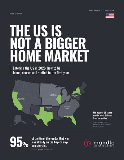 The US is not a bigger home market ebook cover