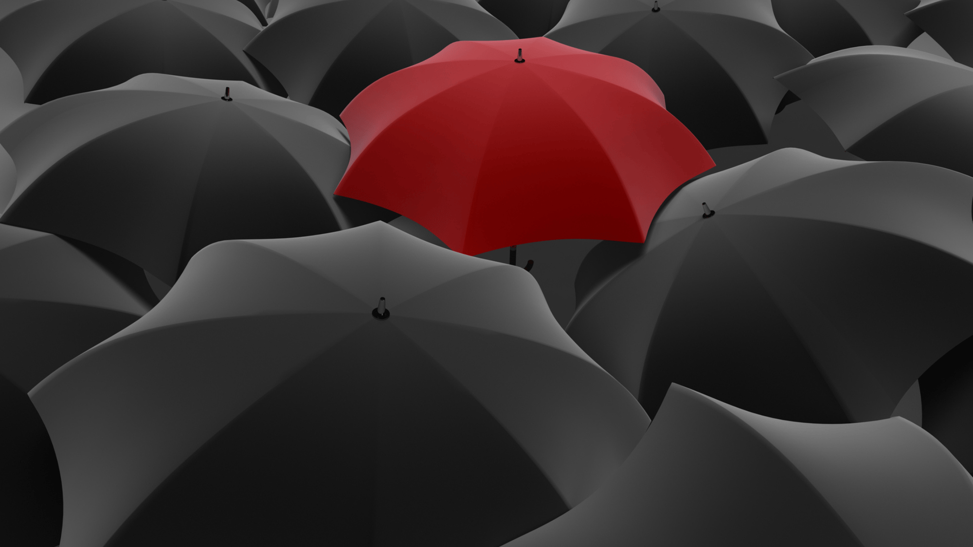 Canva Design DAFcjbo50QE Canva Design DAFcjbo50QE